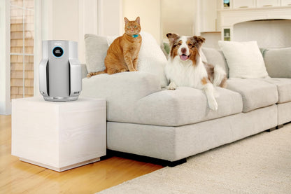 Shark NeverChange up to 5 years Air Purifier, 5-year HEPA Filter, 60m² Coverage, Captures 99.97% of Allergens, Automatic Mode, Quiet, LED Display, for Home and Bedroom, White HP150EU